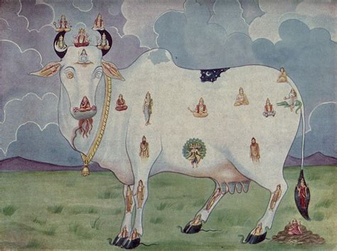 The mgic cow